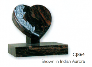 CJ 864 Shown In Indian Aurora